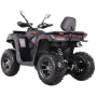 Квадроцикл MOTAX GRIZLIK T250 PRO