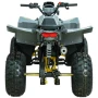Квадроцикл бензиновый MOTAX GRIZLIK RAPTOR D125