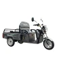 E-Cargo Tricycle Eborn Cargo Cat 1