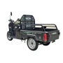 E-Cargo Tricycle Eborn Cargo Cat 1