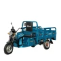 E-Cargo Tricycle Eborn CARGOCAT 2-S