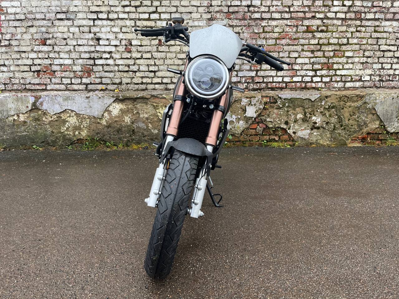 photo_32_2025-11-19_11-02-51