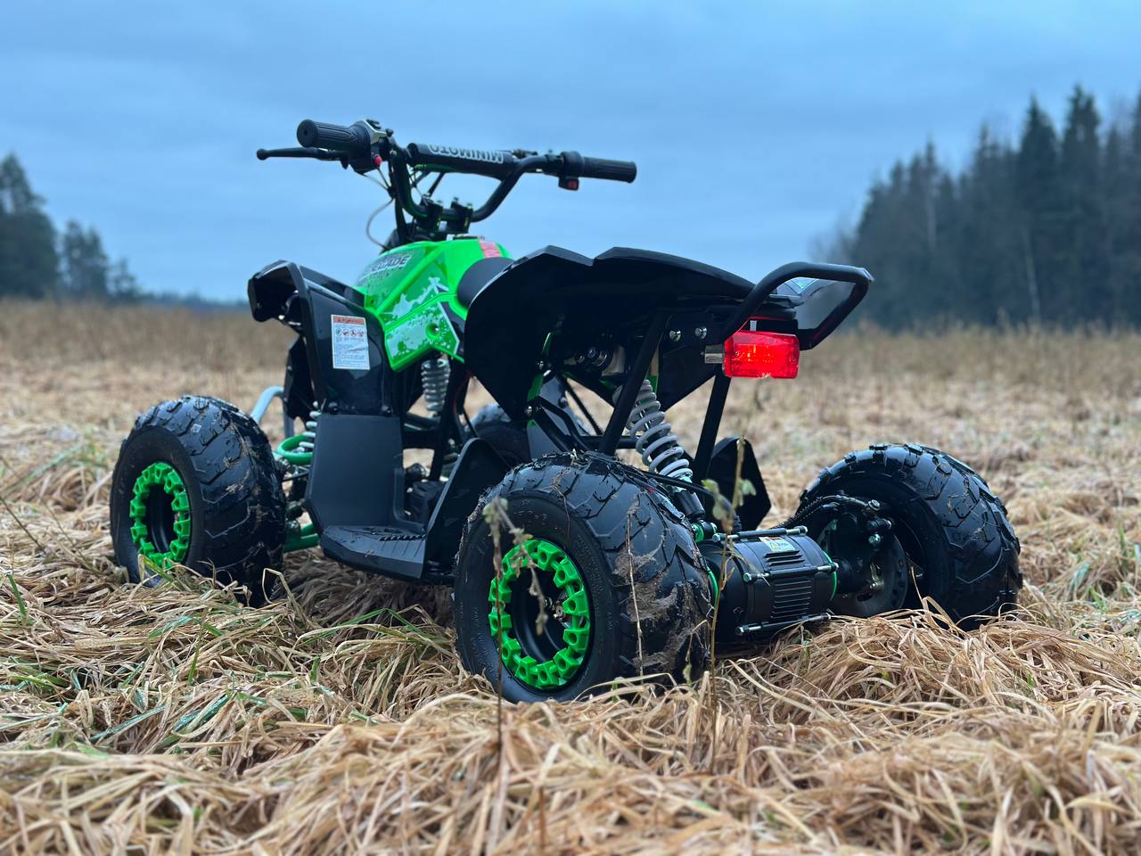 photo_3_2025-12-22_12-16-31