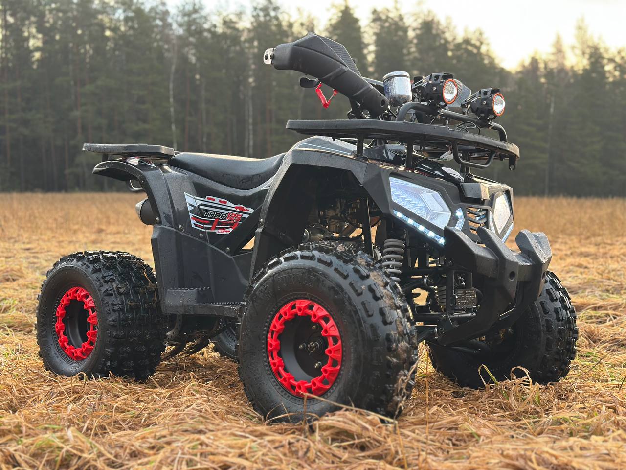 photo_1_2025-12-22_12-02-39