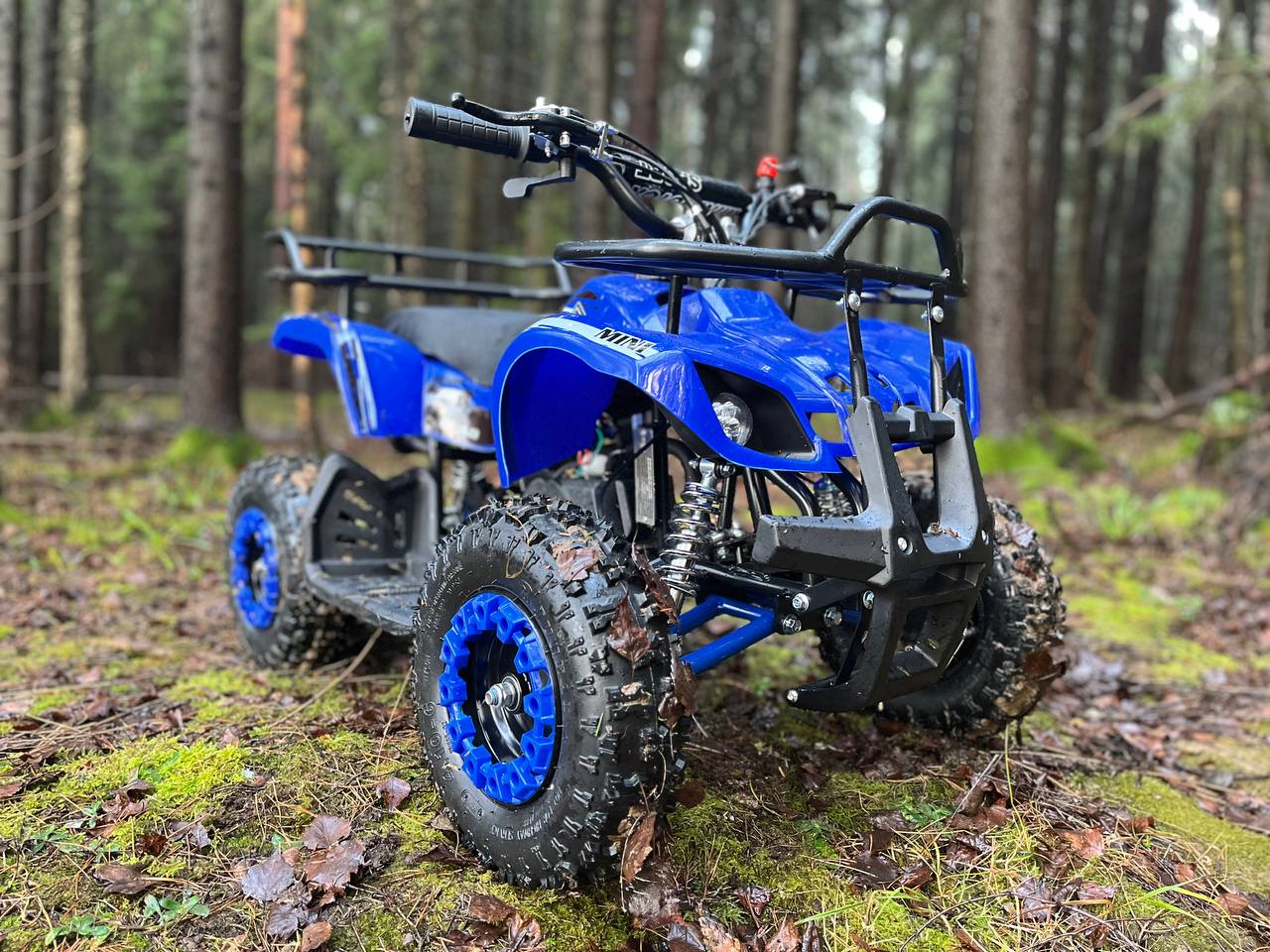 photo_2_2025-12-22_11-51-52