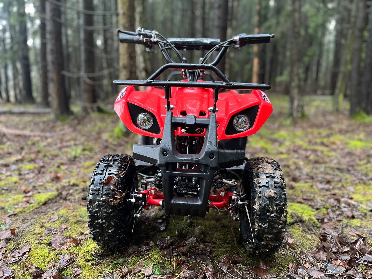 photo_1_2025-12-22_11-58-46