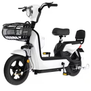 shtenli-jelektroskuter-citygo-model-16-maxi-range-restajling