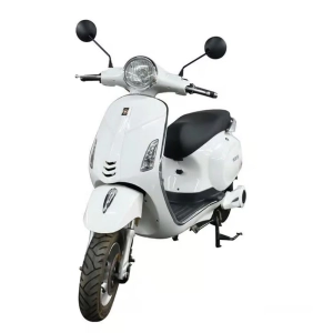 shtenli-jelektroskuter-model-60