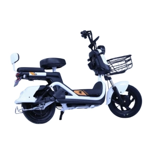shtenli-jelektroskuter-model-21-performance-pro-akkumuljator-5sht-20ach12v