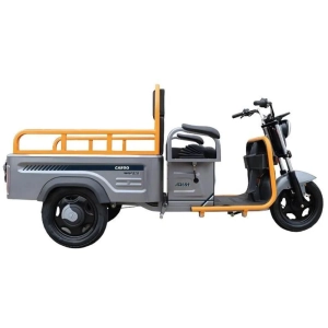 avm-jelektrotricikl-gruzovoj-cargo-mini-800