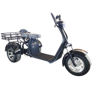 Электротрицикл Shtenli Model 108