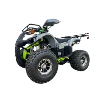 Квадроцикл TERMIT TT 1+1 литье (мотокомплект)