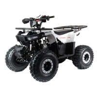 Квадроцикл Motoland Storm 125cc (мотокомплект)