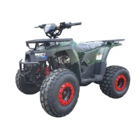 Квадроцикл WELS Thunder 125 E2 (мотокомплект)