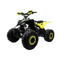 Квадроцикл Motoland 125 RAPTOR NEW (мотокомплект)