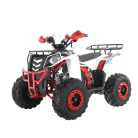 Квадроцикл WELS THUNDER EVO 125cc (мотокомплект)
