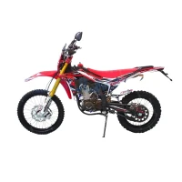 regulmoto-motocikl-cr-z-300