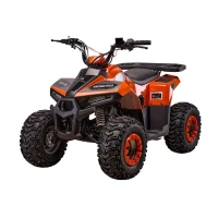 Квадроцикл Yacota Raposa 7 дюймов 110cc (мотокомплект)