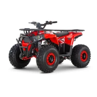 Квадроцикл THUNDER WELS Trail 125 (мотокомплект)